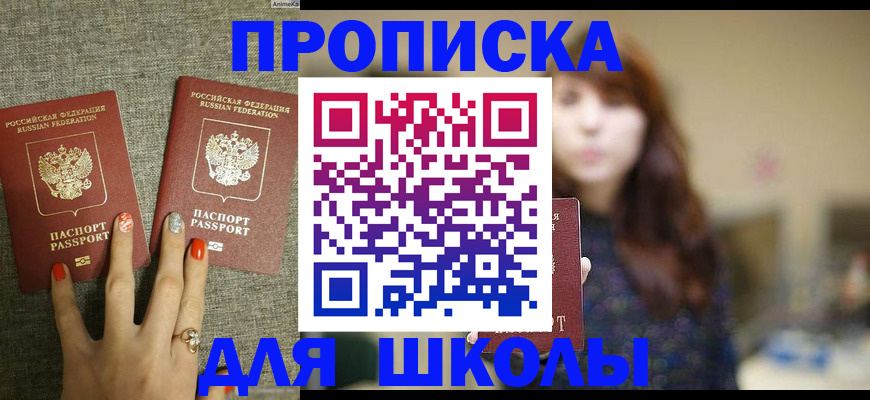 временная регистрация недорого в Светлом